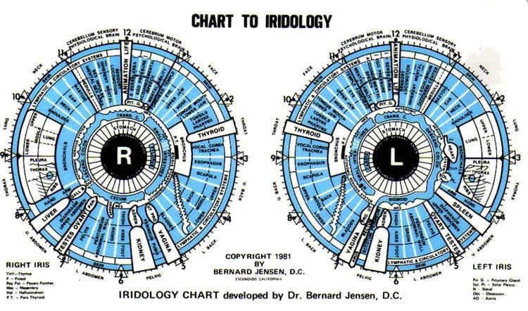 Bernard Jensen Eye Chart