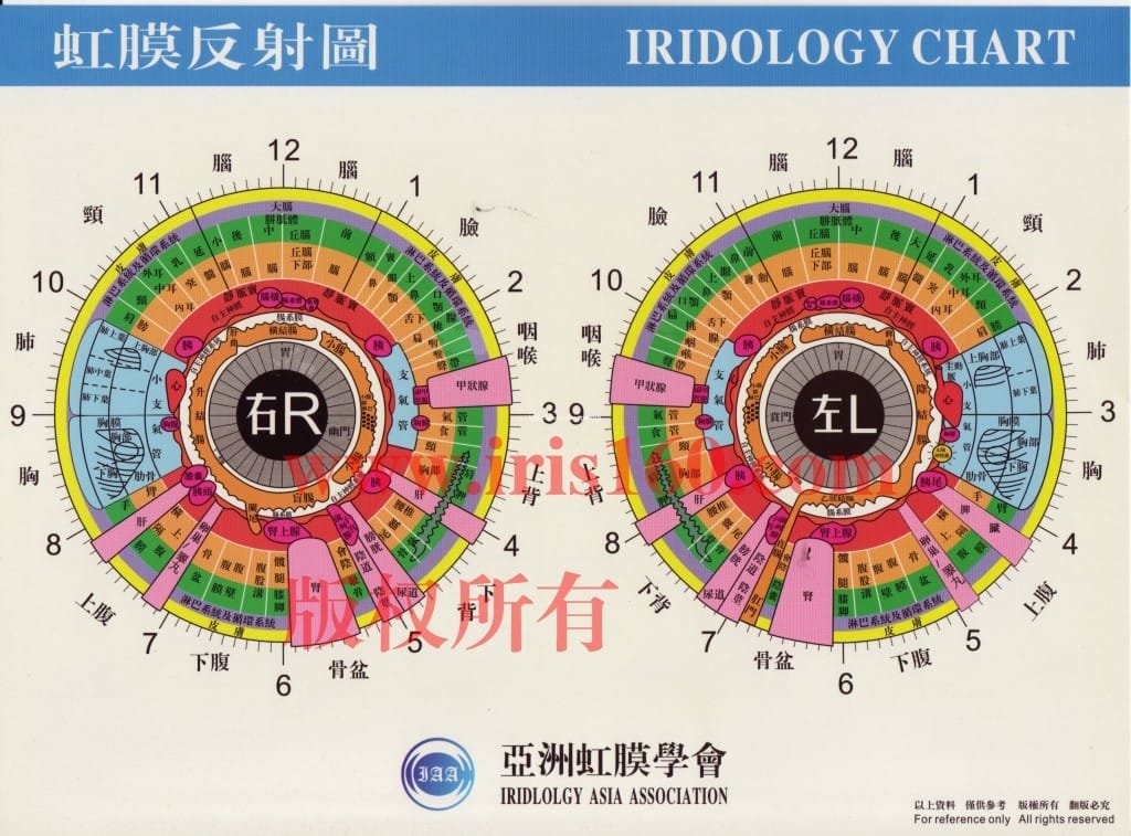 old-chinese-iridology-chart