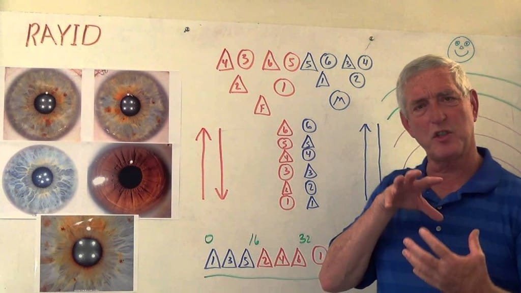 rayid iridology class