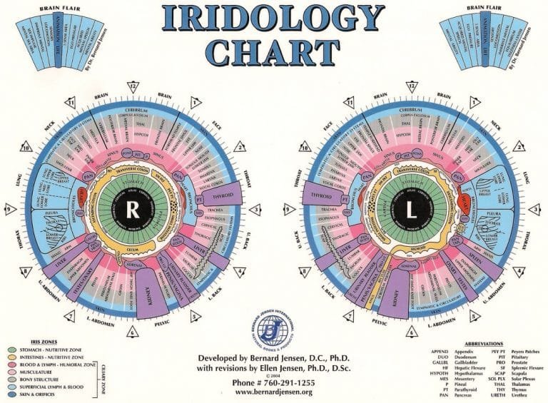 11 PCS Iridology Chart Large – MAIKONG Iridology Camera &amp; Iriscope-Leading Manufacturer